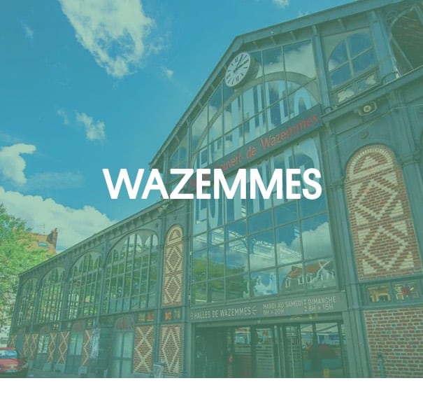 wazemmes colocation lille