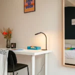 bureau coliving lambersart ivynest