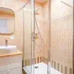 coliving paris issy les moulineaux